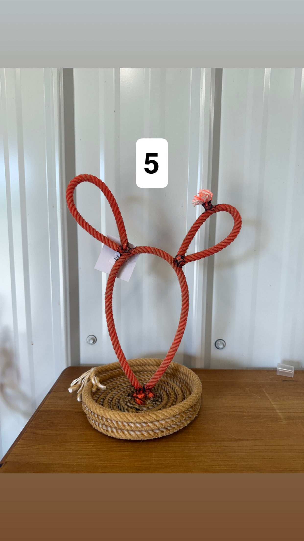 Cactus Jewelry Stand