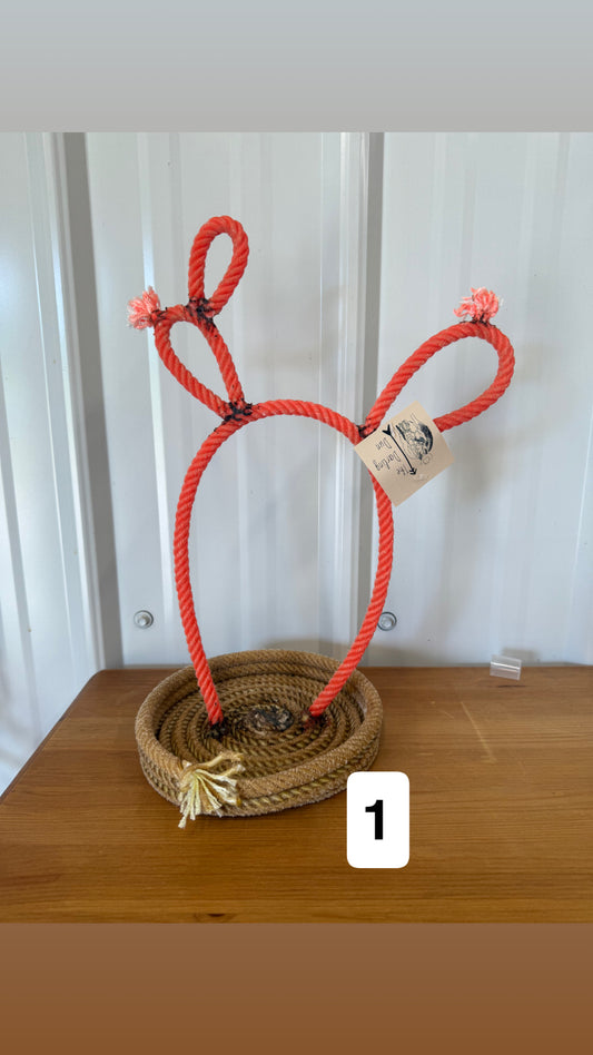 Cactus Jewelry Stand