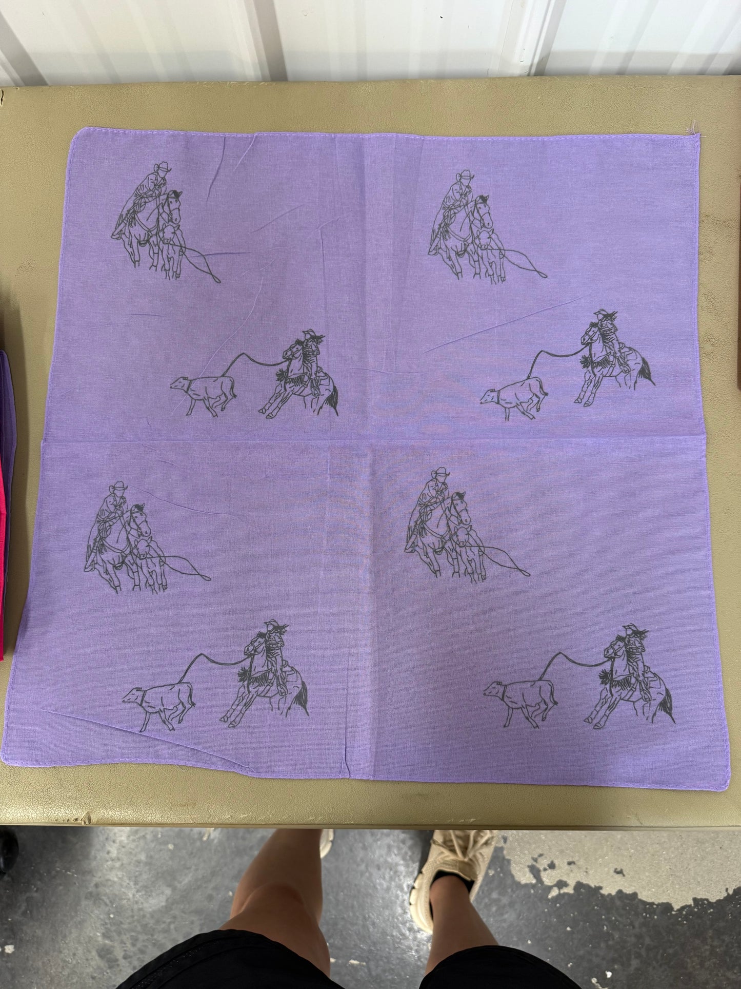 Breakaway Roper Print Flag