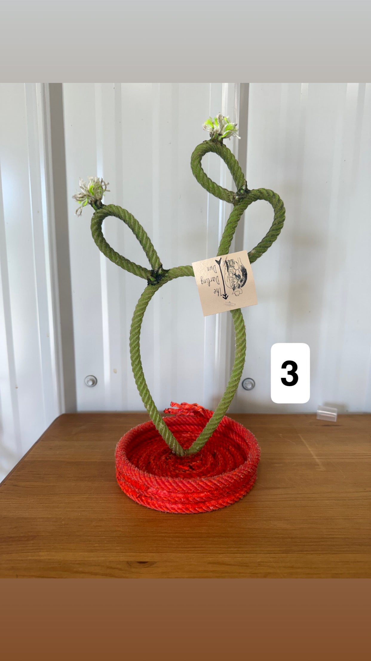 Cactus Jewelry Stand