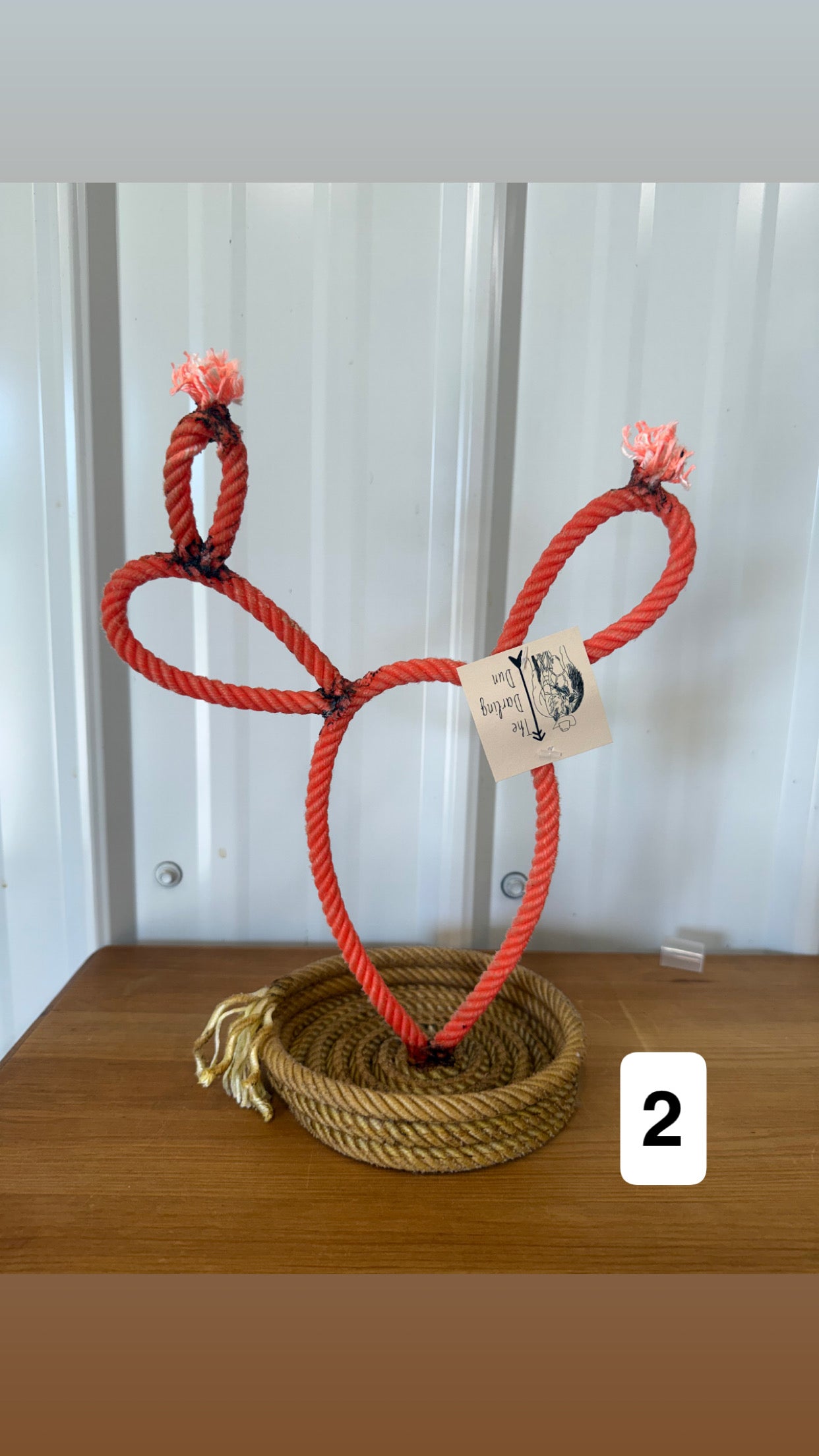Cactus Jewelry Stand